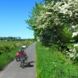 2505F 060 Pburg-Duemmer